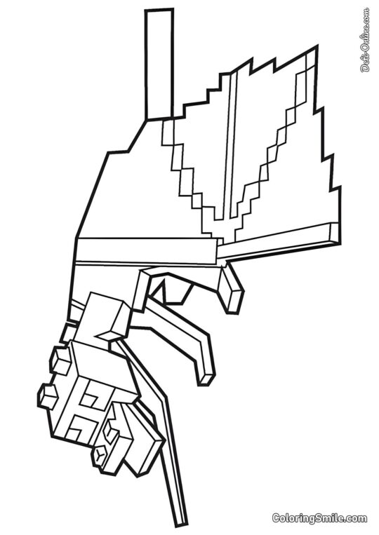 Ender drak Ender drak - Omalovánka