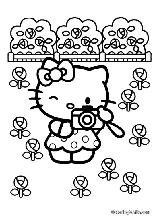 Hello Kitty s kamerou - Omalovánka