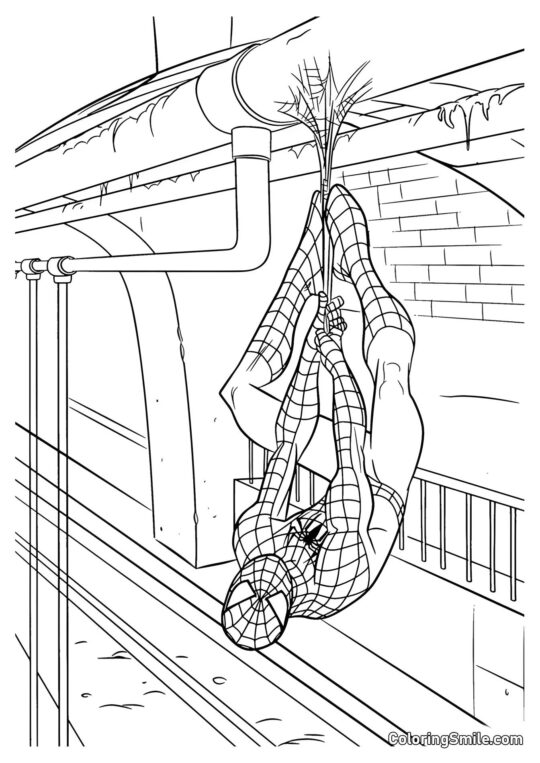 Nový Spider-Man - Omalovánka