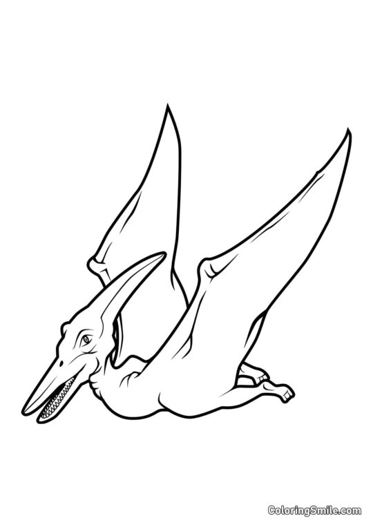 Pteranodon - Omalovánka