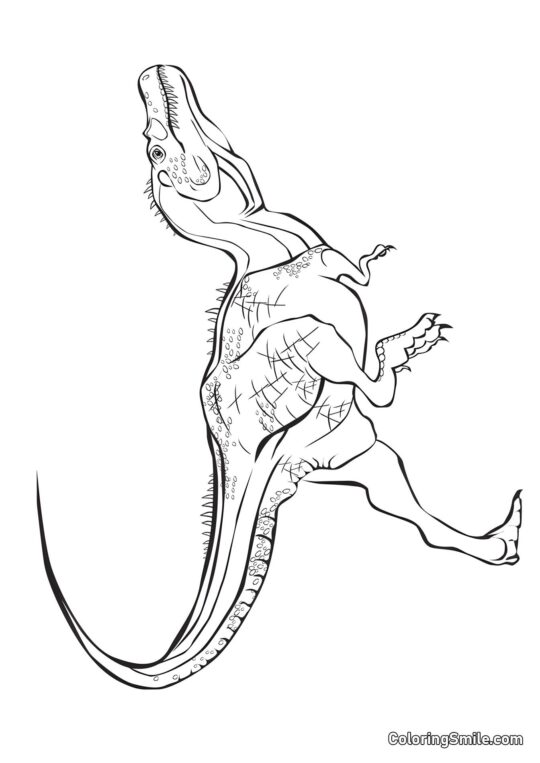 Tyrannosaurus - Omalovánka