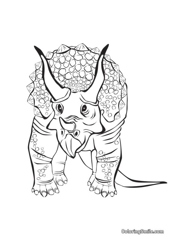 Triceratops z čeledi Ceratopsidae - Omalovánka