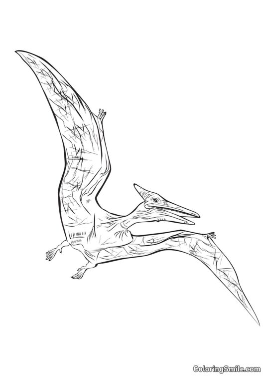 Pterosaur - Omalovánka