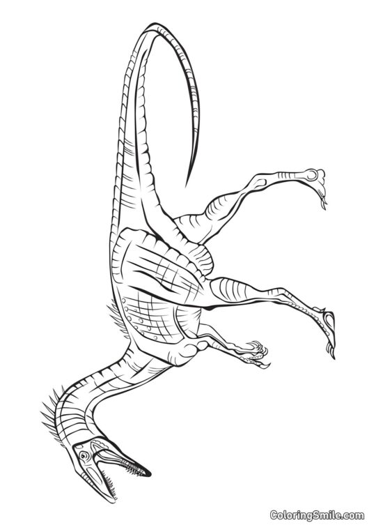 Coelophysis - Omalovánka