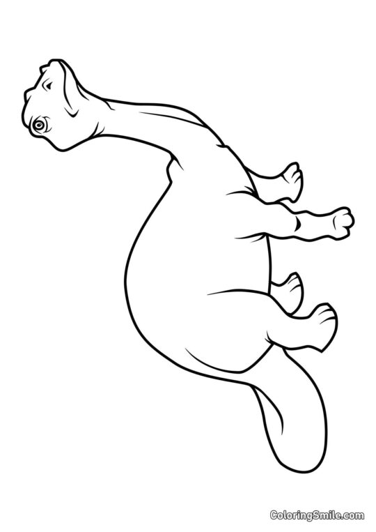 Brontosaurus - Omalovánka