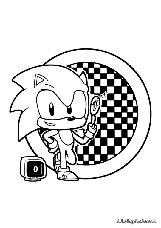 Sonic Č.1 - Omalovánka