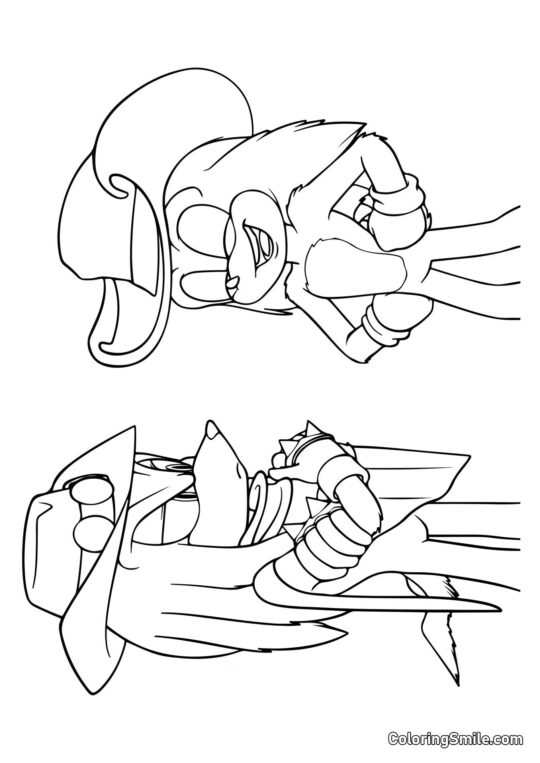 Echidny ze Sonic - Omalovánka