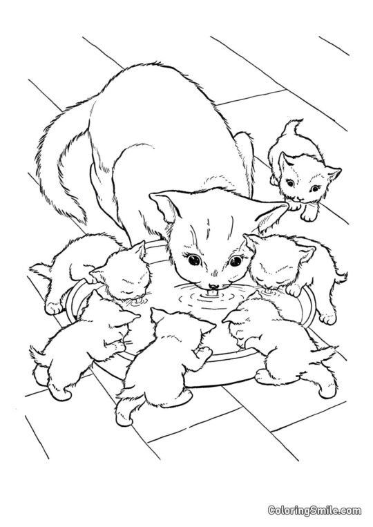 Kočka a šest koťat - Omalovánka