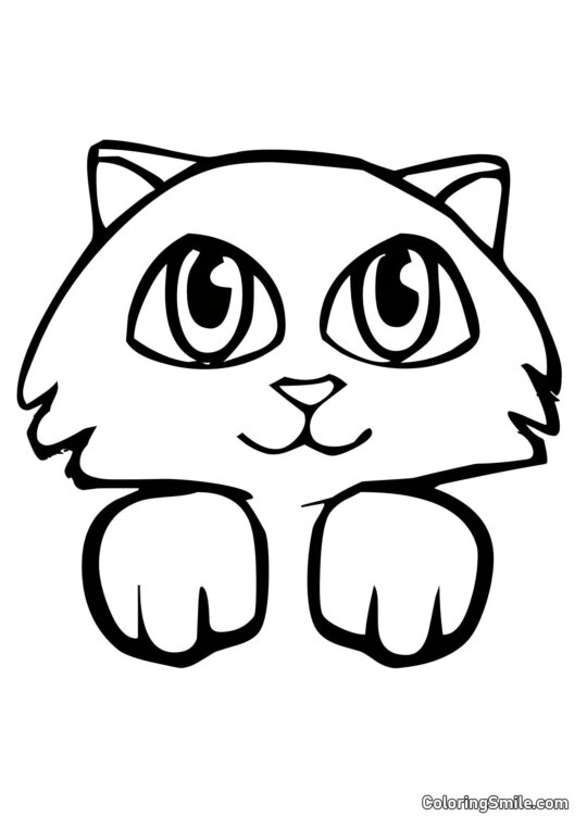 Roztomilé kotě - Omalovánka