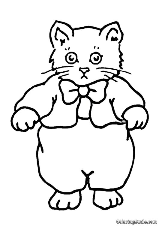 Kotě v svetru - Omalovánka