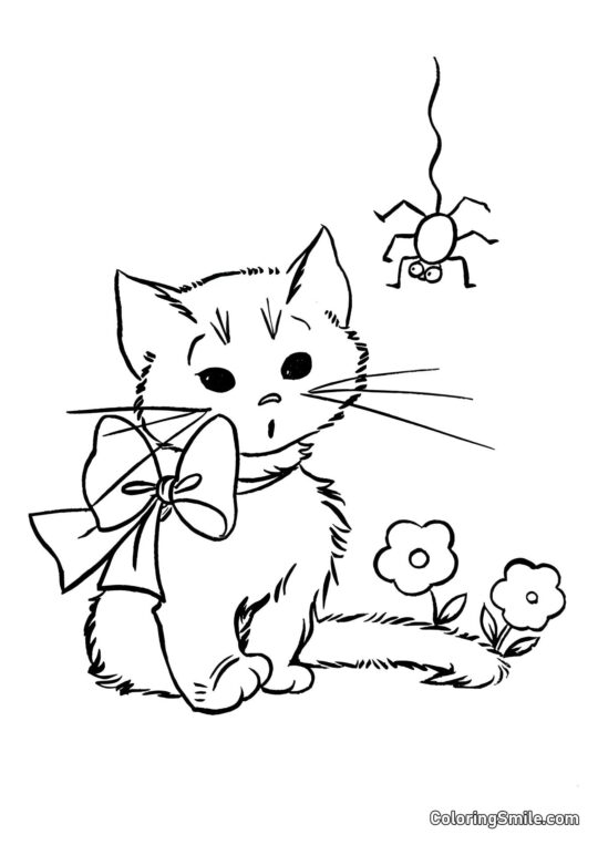 Kotě a pavouk - Omalovánka