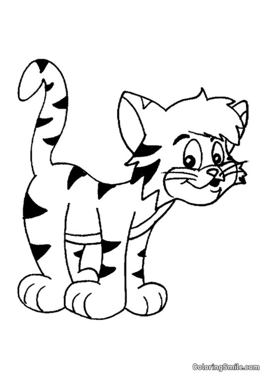 Mazaná pruhovaná kočka - Omalovánka