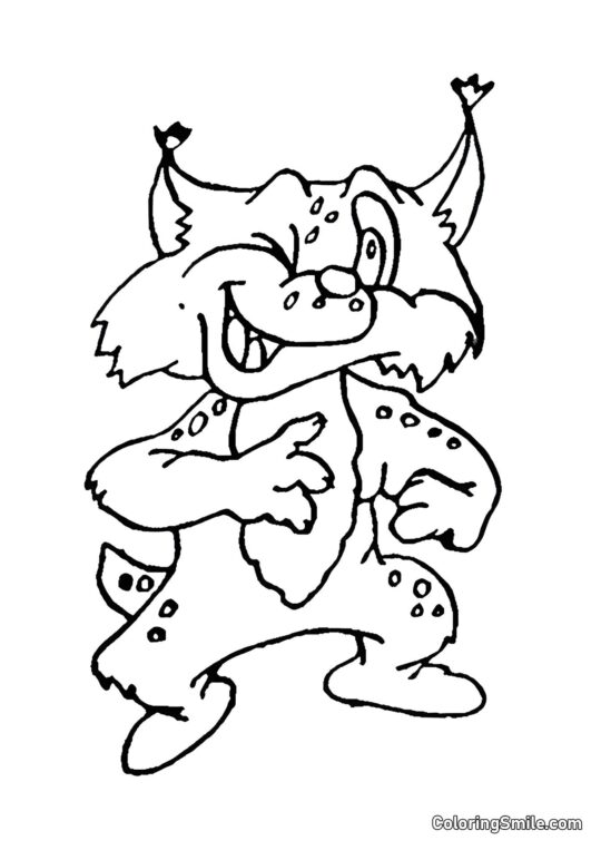 Banditská kočka - Omalovánka