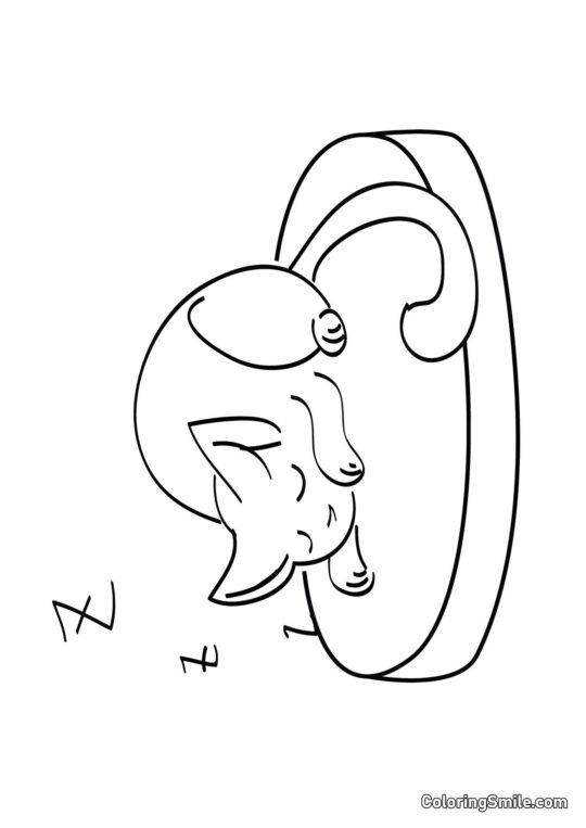 Kotě sladce spící - Omalovánka