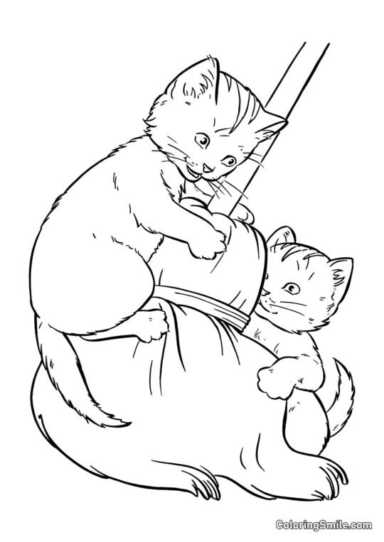 Dvě koťata hrající si s koštětem - Omalovánka