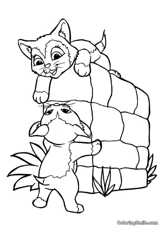 Koťata si užívají - Omalovánka