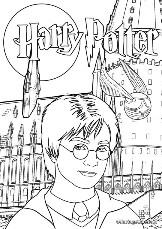 Harry Potter na pozadí hradu - Omalovánka
