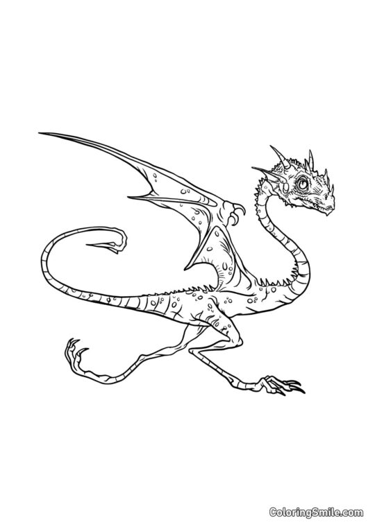 Norbert – Hagridův drak - Omalovánka