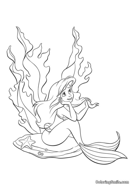 Sny mořské víly - Omalovánka