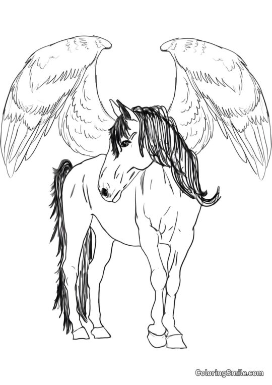 Křídlatý Pegas - Omalovánka