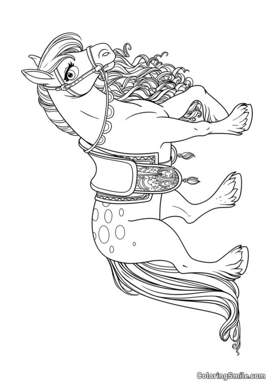 Krásný kůň - Omalovánka