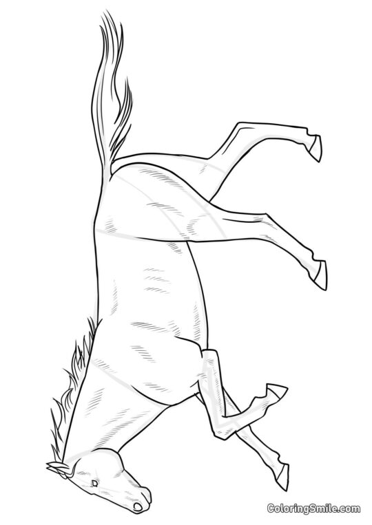 Elegantní kůň - Omalovánka