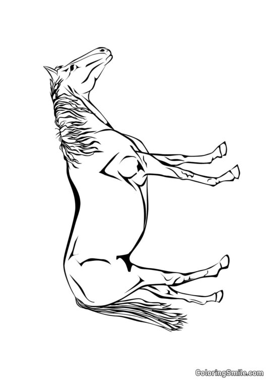 Exkluzivní kůň - Omalovánka